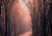 聊聊天涯社区和台湾的有趣故事