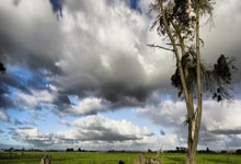聊聊天涯社区和台湾的有趣故事