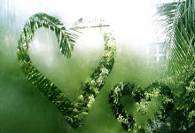 聊聊天涯社区和台湾的有趣故事