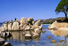 聊聊天涯社区和台湾的有趣故事